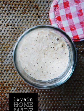 faire son levain naturel soi-même fait-maison