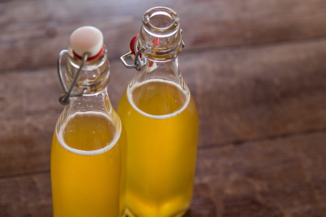 boisson lacto fermentée facile