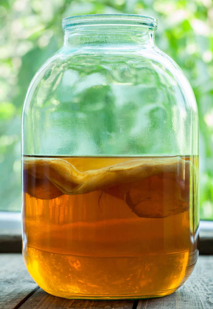 Comment faire son kombucha thé fermenté à la maison