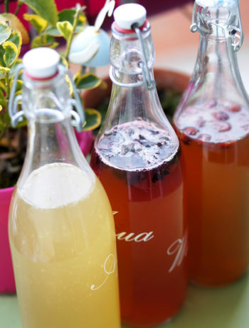 tout savoir sur la kombucha et le kéfir