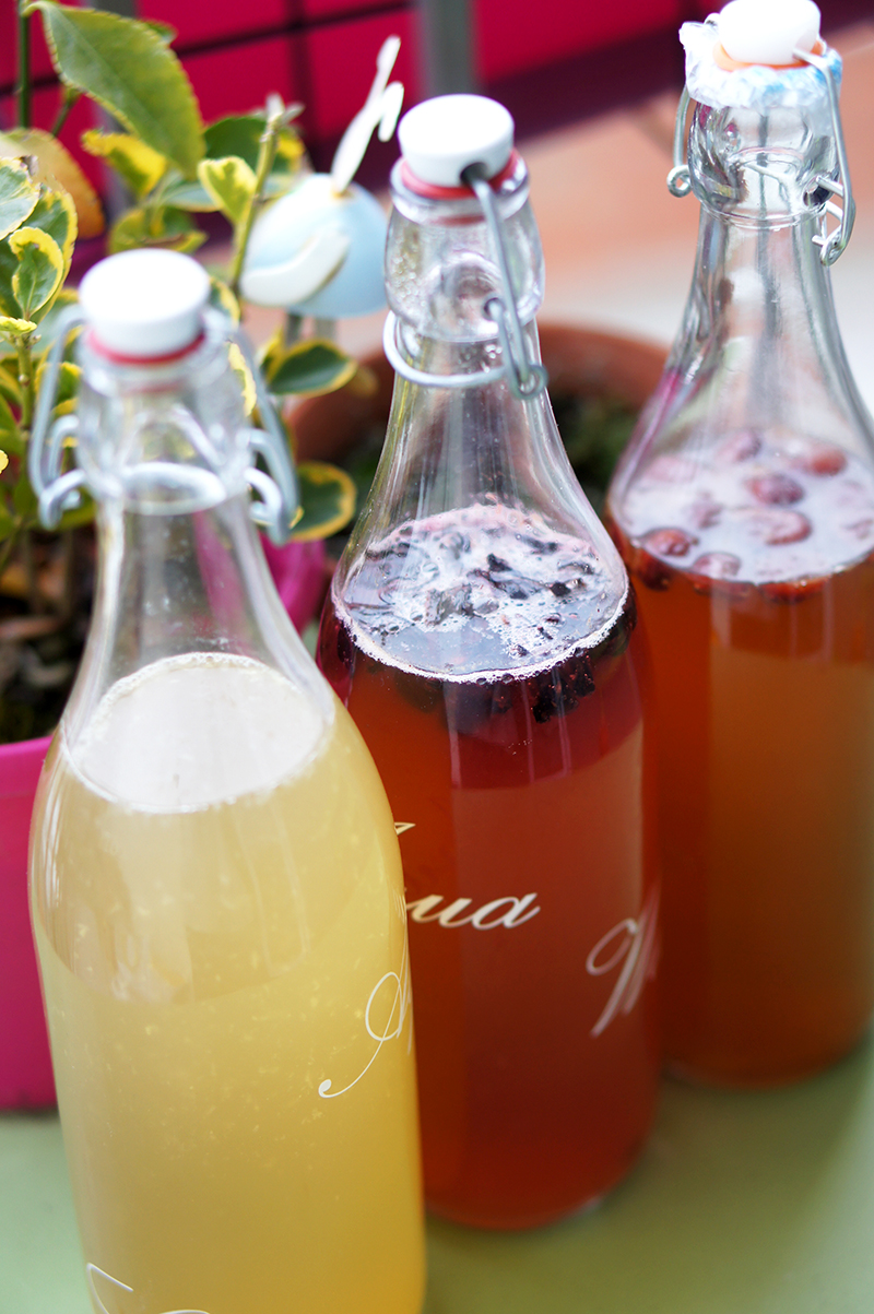 tout savoir sur la kombucha et le kéfir